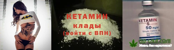 хмурый Нея