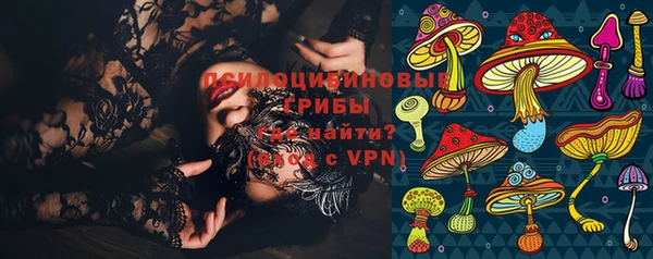 хмурый Нея