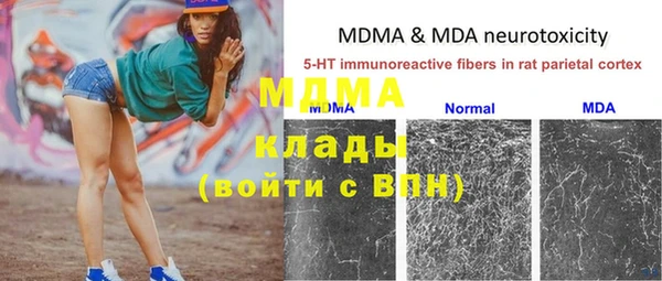 хмурый Нея