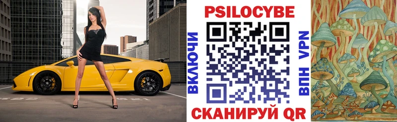 Галлюциногенные грибы Psilocybine cubensis  MEGA ТОР  Покачи 